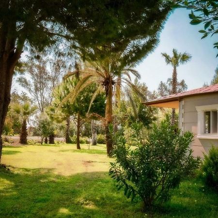 אנאמור Aslihan Motel מראה חיצוני תמונה