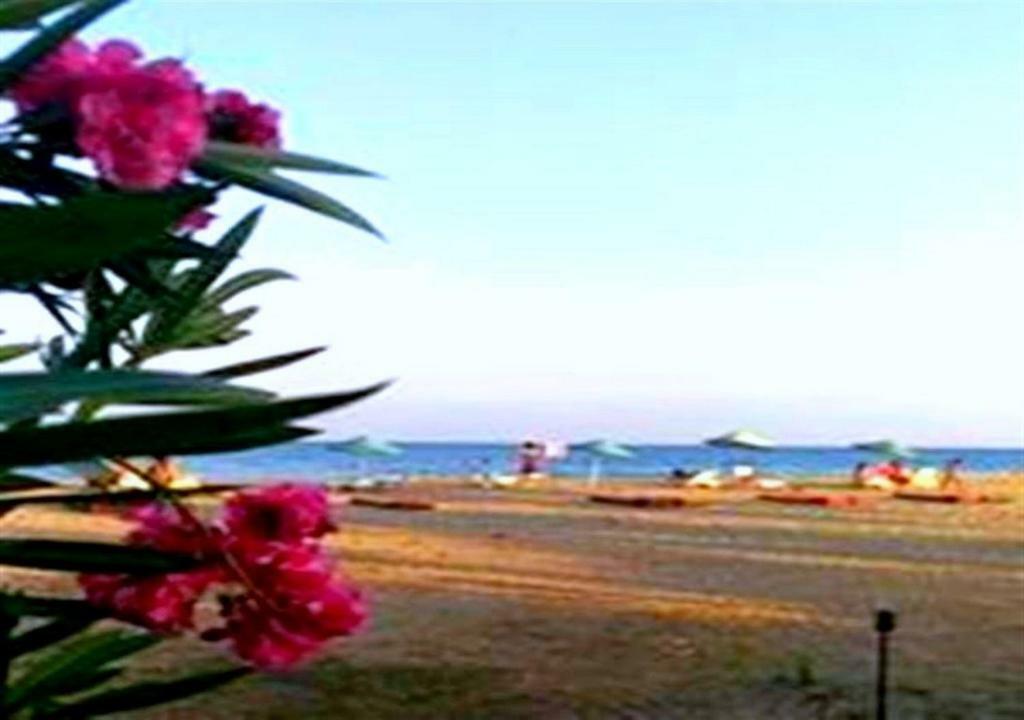 אנאמור Aslihan Motel מראה חיצוני תמונה